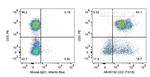 CD2 Antibody in Flow Cytometry (Flow)