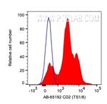 CD2 Antibody in Flow Cytometry (Flow)