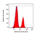 CD19 Antibody in Flow Cytometry (Flow)