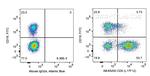 CD5 Antibody in Flow Cytometry (Flow)