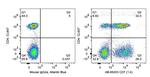 CD7 Antibody in Flow Cytometry (Flow)