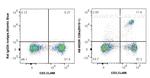 CD8a Antibody in Flow Cytometry (Flow)