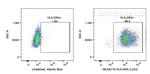 HLA-DR Antibody in Flow Cytometry (Flow)