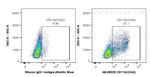 CD11b Antibody in Flow Cytometry (Flow)