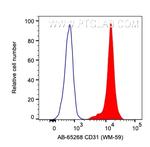 CD31 Antibody in Flow Cytometry (Flow)