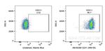 CD31 Antibody in Flow Cytometry (Flow)