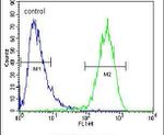 MRP7 Antibody in Flow Cytometry (Flow)