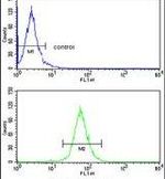 ABCG1 Antibody in Flow Cytometry (Flow)