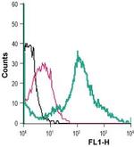 BAI1 (extracellular) Antibody in Flow Cytometry (Flow)