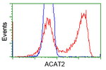 ACAT2 Antibody in Flow Cytometry (Flow)