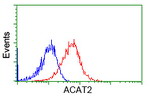 ACAT2 Antibody in Flow Cytometry (Flow)