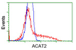 ACAT2 Antibody in Flow Cytometry (Flow)