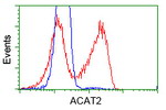 ACAT2 Antibody in Flow Cytometry (Flow)