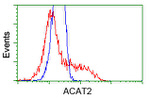 ACAT2 Antibody in Flow Cytometry (Flow)