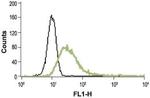 TRPV2 (VRL1) (extracellular) Antibody in Flow Cytometry (Flow)