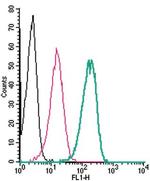 TRPM6 (extracellular) Antibody in Flow Cytometry (Flow)