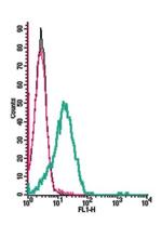 Orai1 (extracellular) Antibody in Flow Cytometry (Flow)
