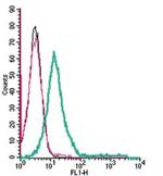Orai1 (extracellular) Antibody in Flow Cytometry (Flow)