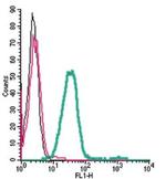 Orai1 (extracellular) Polyclonal Antibody, FITC