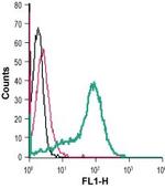 TRPM2 (extracellular) Antibody in Flow Cytometry (Flow)