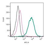 CaV1.2 (CACNA1C) (extracellular) Antibody in Flow Cytometry (Flow)