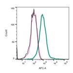 CaV1.2 (CACNA1C) (extracellular) Antibody in Flow Cytometry (Flow)