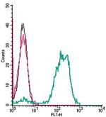 TRPV2 (VRL1) (extracellular) Antibody in Flow Cytometry (Flow)
