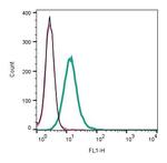 CALHM2 (extracellular) Antibody in Flow Cytometry (Flow)