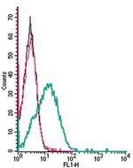 CaV1.3 (CACNA1D) (extracellular) Antibody in Flow Cytometry (Flow)