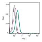 CaV1.3 (CACNA1D) (extracellular) Antibody in Flow Cytometry (Flow)