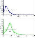 ACE2 Antibody in Flow Cytometry (Flow)