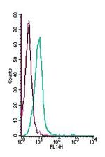 PACC1/TMEM206 (extracellular) Antibody in Flow Cytometry (Flow)