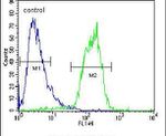 ACOT11 Antibody in Flow Cytometry (Flow)