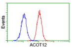 ACOT12 Antibody in Flow Cytometry (Flow)
