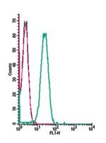 CXCR5 (extracellular) Antibody in Flow Cytometry (Flow)
