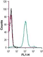 CCR2 (extracellular) Antibody in Flow Cytometry (Flow)