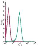 CCR5 (extracellular) Antibody in Flow Cytometry (Flow)