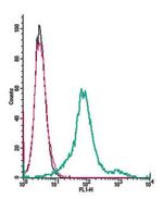 CCR7 (extracellular) Antibody in Flow Cytometry (Flow)