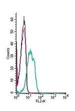 CCKBR (extracellular) Antibody in Flow Cytometry (Flow)