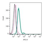 CX3CR1 (extracellular) Antibody in Flow Cytometry (Flow)