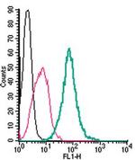 GPR55 (extracellular) Polyclonal Antibody, FITC