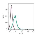 CCR2 (extracellular) Antibody in Flow Cytometry (Flow)