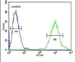 Actin Antibody in Flow Cytometry (Flow)