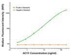 ACY1 Antibody in Luminex (Luminex)