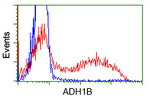 ADH1B Antibody in Flow Cytometry (Flow)