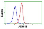 ADH1B Antibody in Flow Cytometry (Flow)