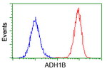 ADH1B Antibody in Flow Cytometry (Flow)
