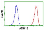 ADH1B Antibody in Flow Cytometry (Flow)