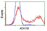 ADH1B Antibody in Flow Cytometry (Flow)