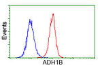 ADH1B Antibody in Flow Cytometry (Flow)